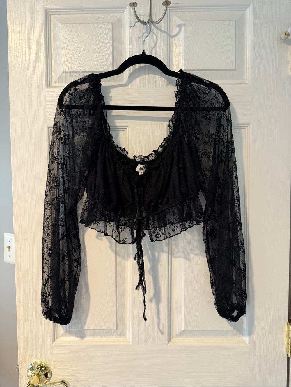 Sheer Lace Tie-Front Crop Top - Black